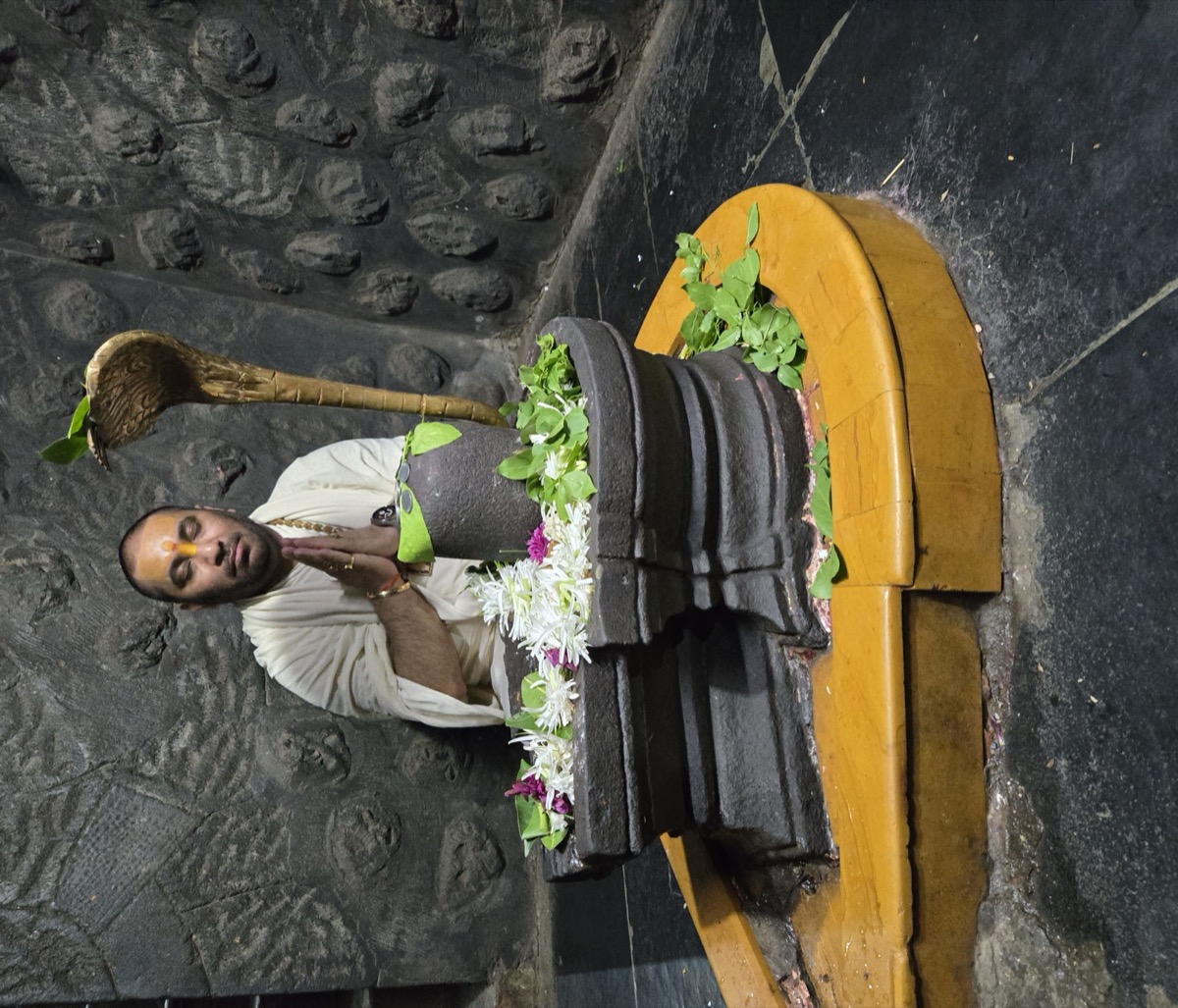 श्री राम संकीर्तन एवं भक्ति महोत्सव